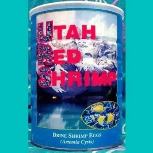 Brine shrimp eggs container design