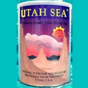 Premium quality aquaculture shrimp eggs