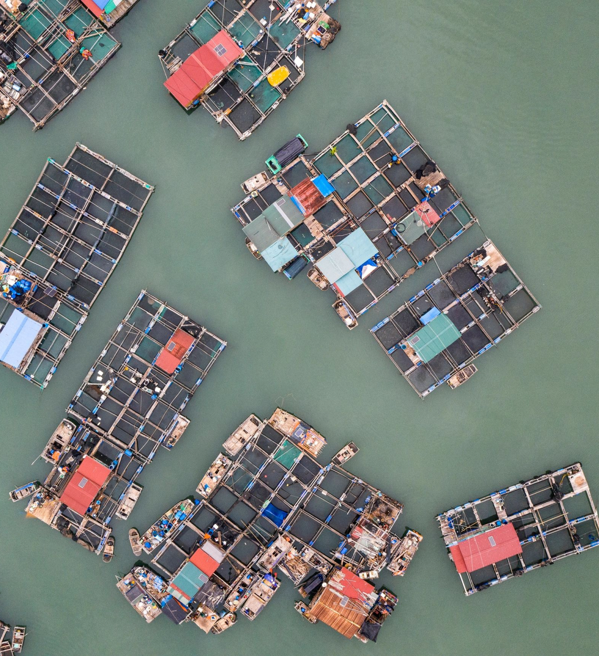 Aerial view of colorful fish farms